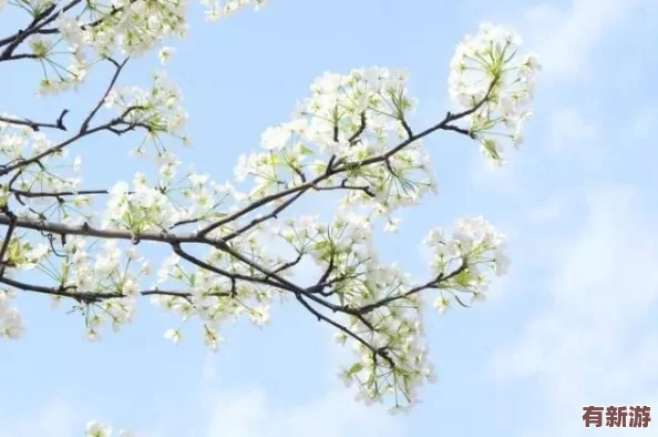 坤坤寒入桃子里嗟嗟嗟