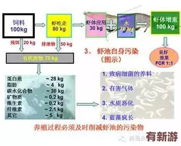 希露薇の繁殖計(jì)劃