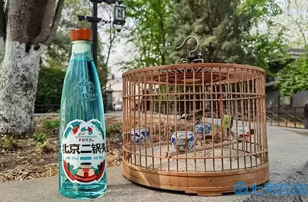 小小村長(zhǎng)二鍋頭有什么用