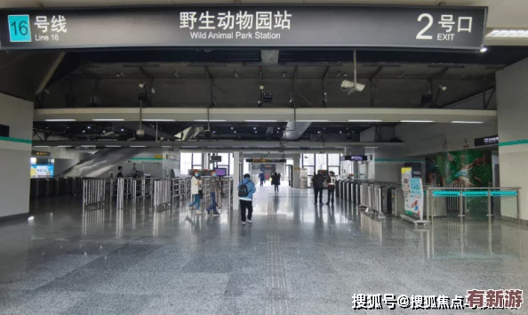 17c14一起槽：深入理解其背后的意義與應(yīng)用價(jià)值-揭示更多潛在的可能性與影響