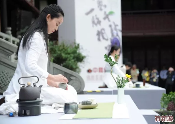 nana-taipei茶藝課：體驗(yàn)傳統(tǒng)與現(xiàn)代融合的茶文化之旅-感受每一杯茶的獨(dú)特魅力