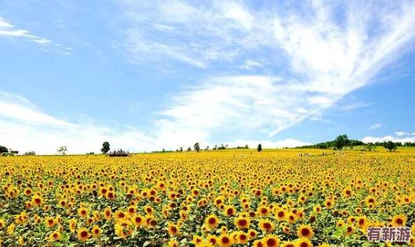 花花世界免費(fèi)看電影-暢享無廣告觀影體驗(yàn)-帶你領(lǐng)略精彩影片的無限魅力與樂趣！