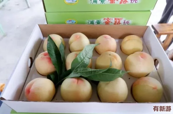 一區(qū)二區(qū)三區(qū)水蜜桃＂熱銷市場-消費(fèi)者紛紛追捧其獨(dú)特口感與優(yōu)質(zhì)品質(zhì)-成為夏季水果新寵