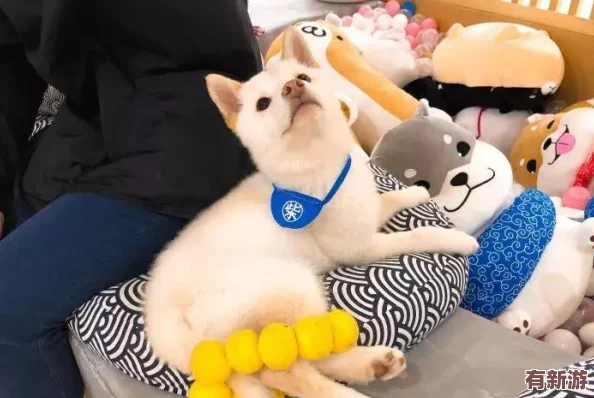 羞羞百度首頁入口：傳聞某明星將與知名網紅合作-或將在平臺上發(fā)布獨家內容引發(fā)熱議！