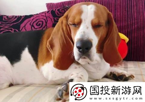 悶聲發(fā)大悶是什么梗網(wǎng)絡(luò)用語-悶聲發(fā)大悶梗意思及出處分享