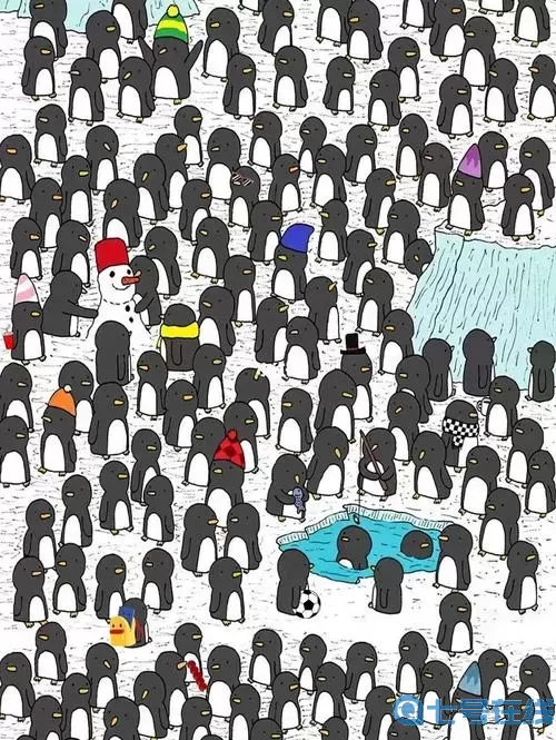 一起看圖找不同的動物