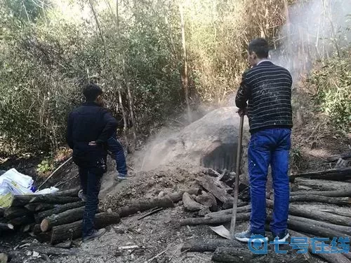 夜幕行動(dòng)十字鎬