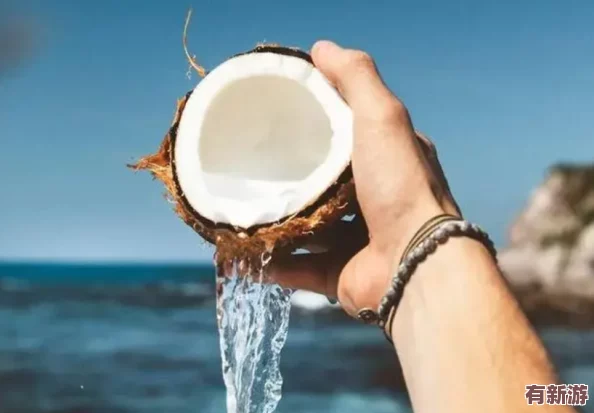 椰子酒升級(jí)效果