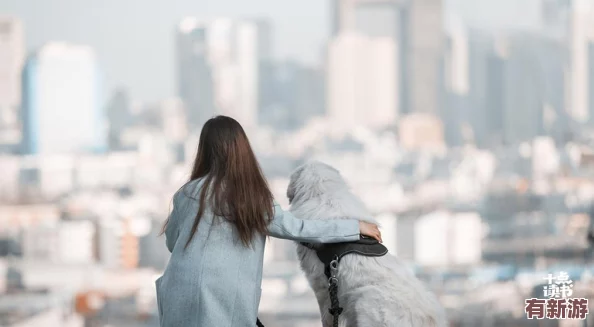 丹丹漸漸適應了