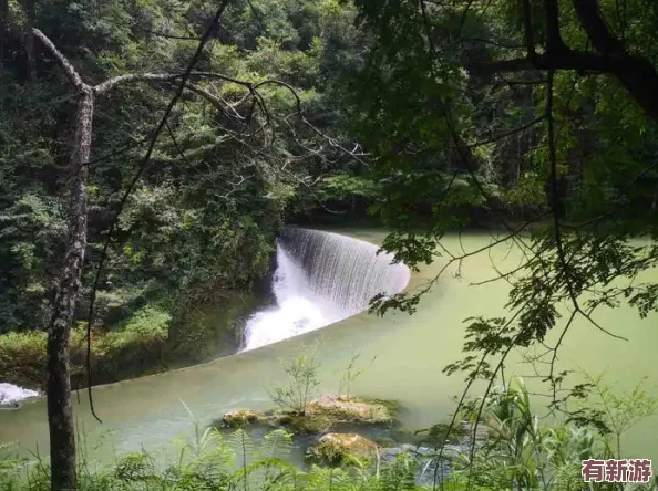 啊灬輕點大巴又粗又長故事：一段關(guān)于友情與成長的奇妙旅程-帶你領(lǐng)略生活中的幽默與感動