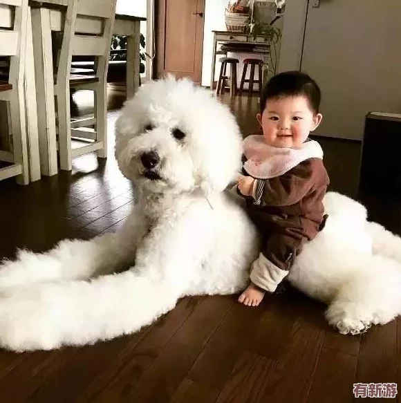 我的狗老公拉婆婆一起貼吧