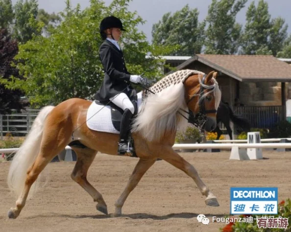 九色丨九一pony在線