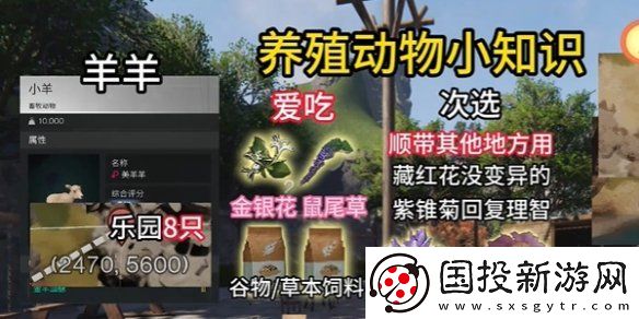 七日世界養(yǎng)殖什么動物