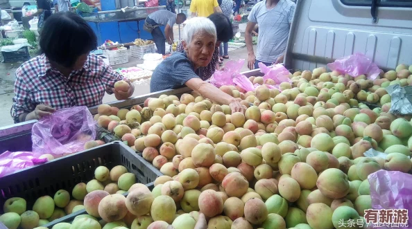 水蜜桃12：了解水蜜桃的生長特點、營養(yǎng)成分與美味食用方法-提升你的水果享受體驗