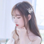 一本色道a無線碼一區(qū)v美女版
