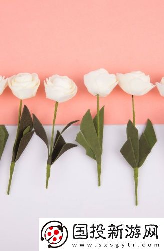 薰衣草完整版在線觀看-薰衣草完整版在線觀看必備版v9.10.13